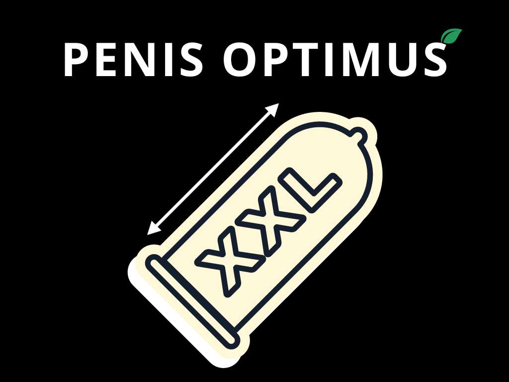 PENIS OPTIMUS